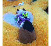 VBESTLIFE Arnés de Chinchilla, Chaleco Pequeño a Prueba de Escapes para Mascotas con Malla Transpirable, Correa Ajustable para Caminar, Equipo Ligero para Roedores para Jugar Al Aire Libre, Suave (S)