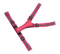 VBESTLIFE Chaleco Reflectante Carga USB Seguro Ajustable para Adultos Correr Caminar Ciclismo Actividades Al Aire Libre (Rosa)