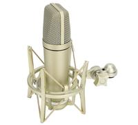 VBESTLIFE Micrófono de Condensador, Micrófono de Condensador Cardioide con Cable de Metal y Diafragma Premium para Transmisión, Podcasting y Grabación de Voz