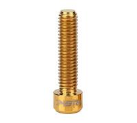 Vbestlife Pernos de Freno de Disco de Titanio Hexagonal, 2 Unidades, M6 x 25 mm, Tornillos para Bicicleta de montaña, Pinza de Freno de Disco, Dorado