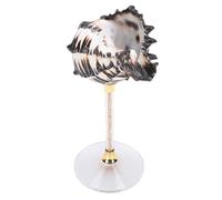 VBESTLIFE Taza de Caracola de Concha, Elegante Diseño de Copa de Concha para Bebidas Frías, con Patrones de Colores Distintos para Decoración de Mesa (BLACK)