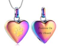 VCCWYQK Collar de urna con estampado de huellas de corazón para cenizas para mascotas, acero inoxidable, joyería de cremación, colgante conmemorativo para perro, gato, ceniza, Acero inoxidable, No es