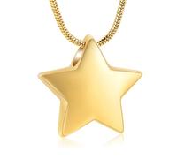 VCCWYQK Collar de urna de estrella pequeña para cenizas para mujer, collar conmemorativo de acero inoxidable para mascotas humanas Ashe, Acero inoxidable, No es una piedra preciosa