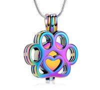 VCCWYQK Joyería de cremación para cenizas para perro o gato de acero inoxidable con medallón conmemorativo collar interior de mini estuche joyería de cremación para mascotas (Colorido)