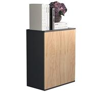 VCM Cómoda de Madera aparador aparador Alto Mueble aparador Dalosa 2 Puertas batientes Cómoda de Madera aparador aparador Alto Mueble aparador Dalosa 2 Puertas batientes