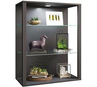 VCM Vitrina Mural de Cristal de Madera Vitrina Colgante Vitrina coleccionista Vitrina de Cristal Vitrina de pie Glasol LW Antracita