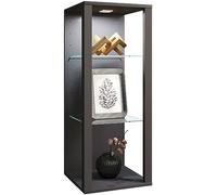 VCM Vitrina Mural de Cristal de Madera Vitrina Colgante Vitrina coleccionista Vitrina de Cristal Vitrina de pie Glasol MW Antracita
