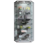 VCM Vitrina Mural Vitrina Colgante Vitrina de Cristal Vitrina Mural de Cristal Benila XL Vitrina Mural Vitrina Colgante Vitrina de Cristal Vitrina Mural de Cristal Benila XL