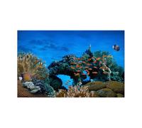 VCSZYAFX Fondo de Acuario Adhesivo de Fondo for Acuario, diseño póster Coral Submarino Azul, Papel Tapiz Autoadhesivo Decorativo(50x100cm)