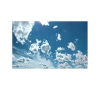 VCSZYAFX Fondo de Acuario Adhesivo for Fondo de Acuario, decoración pecera con Nubes, Accesorios PVC for(Color3,54x122cm)