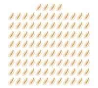 [Vdaxvme] 100 dijes naturales de conchas marinas mixtas de formas y colores, suministros de joyería para creación artística