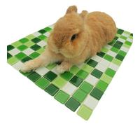 Vdaxvme Nido de piedra para mascotas, roedores, jerbos, degus, diseño resistente a las mordidas, fácil de limpiar, cama pequeña para mascotas