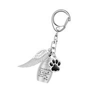 Vdaxvme Pet MemorialS Llavero Wingeds urna colgante de acero inoxidable perdido joyería para cenizas duraderas llavero con colgante de alas