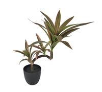 Vdaxvme Planta de Dracaena de simulación brillante en macetas, vegetación decorativa, ideal para decoración de interiores, planta realista