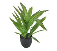 Vdaxvme Planta de Dracaena de simulación brillante en macetas, vegetación decorativa, ideal para decoración de interiores, planta realista