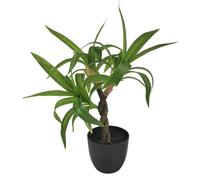 Vdaxvme Planta de Dracaena de simulación brillante en macetas, vegetación decorativa, ideal para decoración de interiores, planta realista