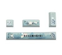 Vdaxvme Teclas PBT Teclas mecánicas Teclas de 5 lados Sublimación OEM Altura para Espacio 6.25U Enter Spacebr Keycaps 4PCS