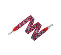 VDFNGFD Compatible con Bolsos de diseño Lujo, Correas Hombro Famosas, reemplazo Accesorios Correa for Bolso asa Trenzada Que combina Todo(Red Silver Hook,Length 80cm Width2.5)