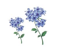 VDLLQYN, Tatuajes temporales,5 Hojas de Hortensias Azules Pegatinas de Tatuaje Temporal Impermeables Plantas Realistas Flores Tatuaje Falso Kit de Tatuaje de Arte Corporal ，Pegatinas de tatuajes