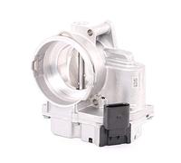 Vdo A2C59511698 cuerpo de mariposa