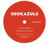 Vector Smector/What You Gonna Say [7" VINYL]