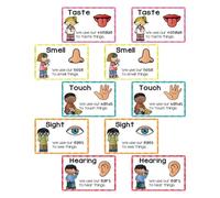 Veemoon 2 Tarjetas Didácticas Multisensoriales para Desarrollo Cognitivo Infantil Posters Preescolares Reutilizables para Aula y Aprendizaje Casa