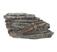Veemoon Espécimen Paleontológico de Trilobite de Resina Adorno Decorativo Pequeño y Ligero para Colección y Enseñanza Modelo Fósil Trilobites Marinos para Decoración Científica en Hogar