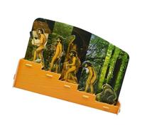 Veemoon Juego de Rompecabezas DIY de Evolución Humana, Juguete Educativo Científico Modelos de Historia Evolutiva, Colores Vivos, Adecuado para Aprendizaje y Experimentos en Casa