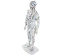Veemoon Modelo De Exhibición De Puntos De Acupuntura Masculino Blanco, Tamaño Real, Herramienta Práctica De Medicina Tradicional China Para Enseñanza y Práctica Clínica De Meridianos y Masaje Corporal