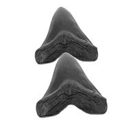 Veemoon Réplicas de Dientes de Megalodón 2 Piezas de Resina Duradera para Decoración de Escritorio Adornos Retro Compactos y Ligeros Ideales para Coleccionistas y Uso Educativo