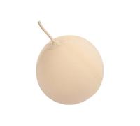 Veemoon Vejiga de Globo de Muestreo de Gas para Laboratorio Herramienta Reutilizable de Caucho Duradero Tamaño Grande Vejiga Interna para Recogida Precisa de Gases