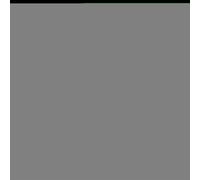Vega, Alan - New Raceion [Vinilo]