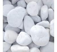 Vegara Stone - Piedra de Jardín Decorativa, Canto Rodado Blanco Puro (10, 1.5-2.5 cm) - Embellece tu Espacio Exterior con Elegancia Natural