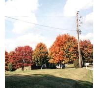 Vegas Water Taxi - Things Are Gonna Be Alright - Vinyle Rouge [Vinilo]