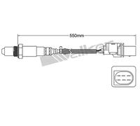 VEGAZ ULS-112 Sonda lambda