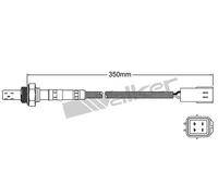 VEGAZ ULS-160 Sonda lambda