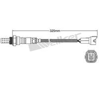 VEGAZ ULS-168 Sonda lambda