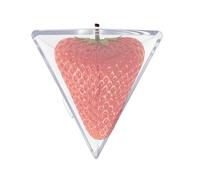 Vegetable Molds Growing - Fruit Shaping Garden Tool for Plants | Growth Forming Molds with Pumpkin Strawberry Tomato Plants, Forming Tool for Backyard Patio Yard Gardening Use