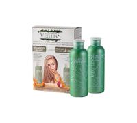 VEGLISS Kit Post Alisado Brasileño - Champú 250 ml + Tratamiento 3 en 1 250 ml - Con Queratina Vegetal y Pitaya - Anti Frizz e Hidratación - Sin Sulfatos ni Parabenos