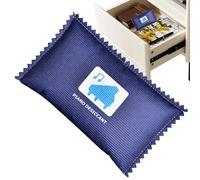 Vehicle Moisture Collector - Winter Automotive Dehumidifier, Silicone Drying Unit, Cabin Climate Regulation Control System, High Efficiency Condensation Vapor Capture Performance Module Assemb