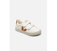 Veja Small Esplar Velcro 23 Blanco