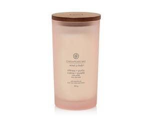 Vela aromática Chesapeake Bay Stillness + Purity 355 g