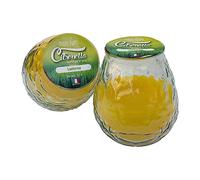 VELA CITRONELA EN CRISTAL Ø9,5x10,5cm MAGIC LIGHTS