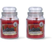 Vela en tarro de 510 g con mecha de madera natural, fabricada en Italia (Paquete de 2)