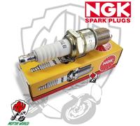 NGK BujÃa de encendido para ALFA ROMEO: 164, Spider, Giulietta & BMW: 3200, 501 & FIAT: 850 & AUDI: Audi (Ref: 1111)