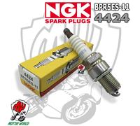 NGK BujÃa de encendido para MITSUBISHI: Pajero, GALLOPER, Colt, Lancer, Lancer F, Shogun & HYUNDAI: Galloper & KIA: Rio, Sephia, Pride (Ref: 4424)