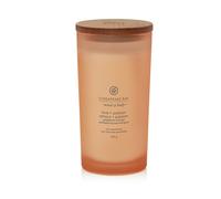 Vela perfumada Chesapeake Bay Love + Passion 355 g