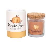 Vela perfumada de especias de calabaza, tamaño grande, fragancia de larga duración, perfecta para relajación y ambiente
