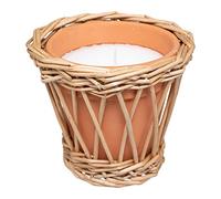 Vela PERFUMADA LIMÓN Terracotta ROTIN 24H