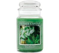 Vela Village Eucalipto Menta Tarro grande de boticario de vidrio Vela perfumada 2125 oz verde